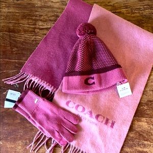Coach knit hat and gloves  (NWT)